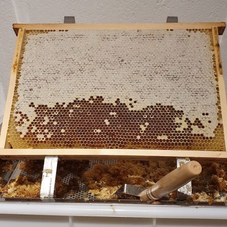 Honning i tavle - Oslo honning - Finbi