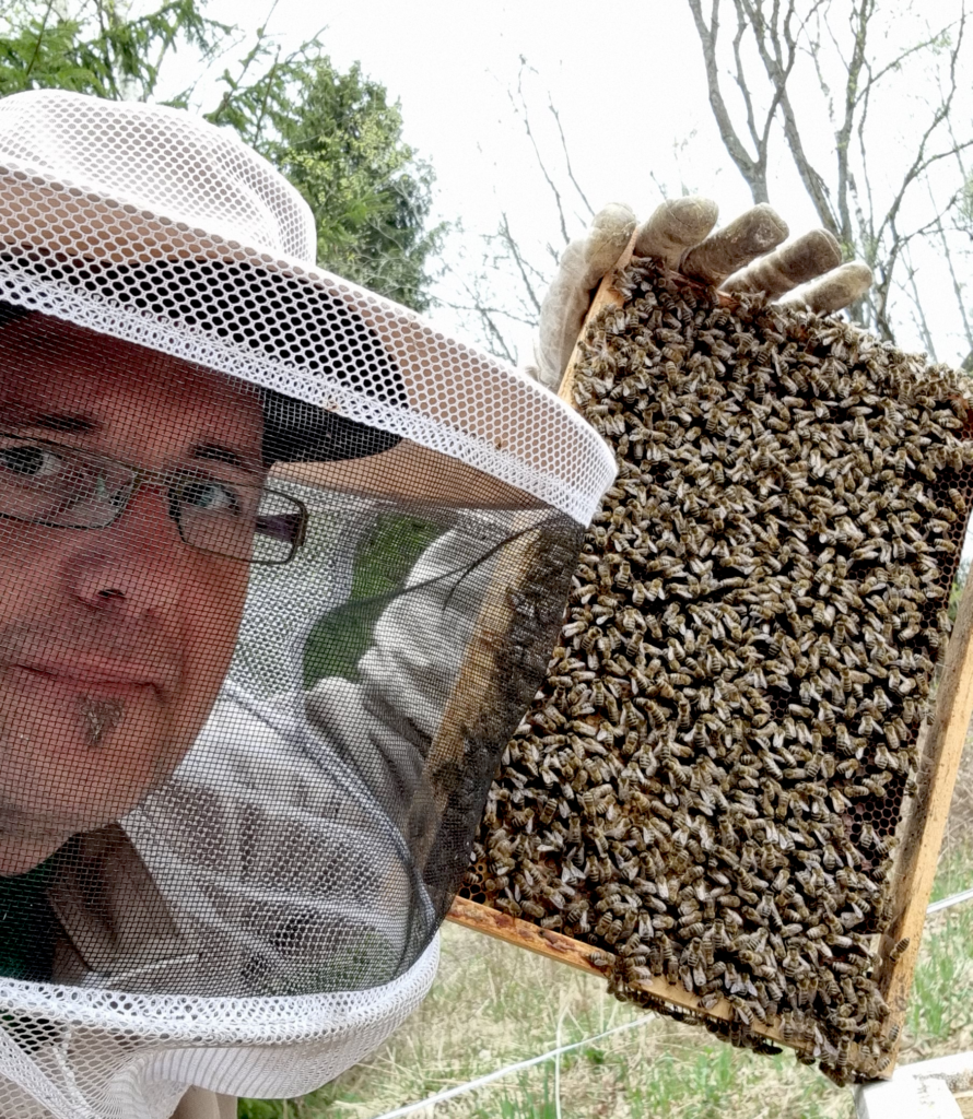 Finbi.no - Urbant birøkt - Bier i Oslo